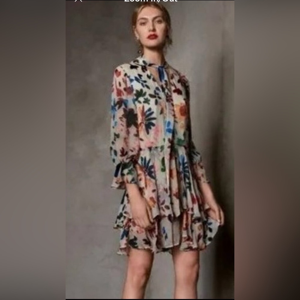 Alice + Olivia Velvet Floral Printed Size XS